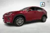 Lexus NX 300h AWD Luxury *Huikeat varusteet mm. Ilmastoidut etuist. / Mark Levinson audio / Mukautuva vak.nop.säädin / Ym.* Thumbnail 6